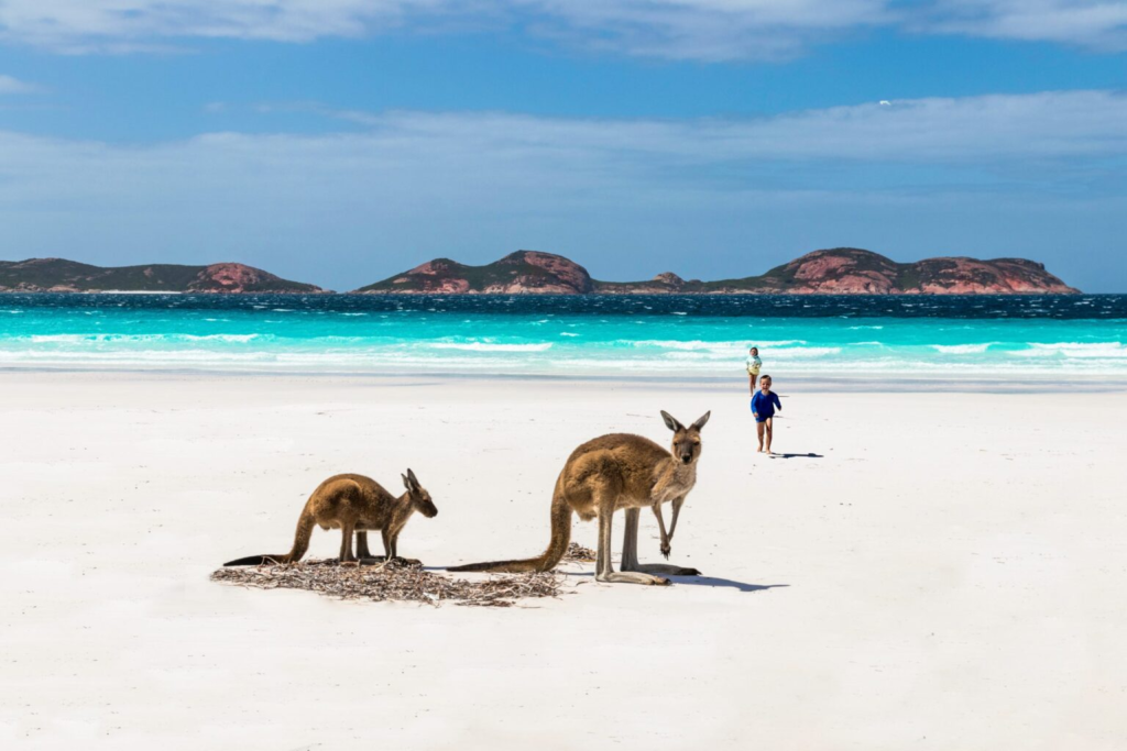 Australia Work Visa: A Comprehensive Guide