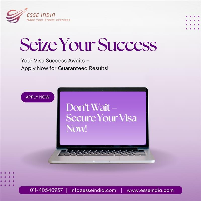 Esse india - best consultancy in Delhi