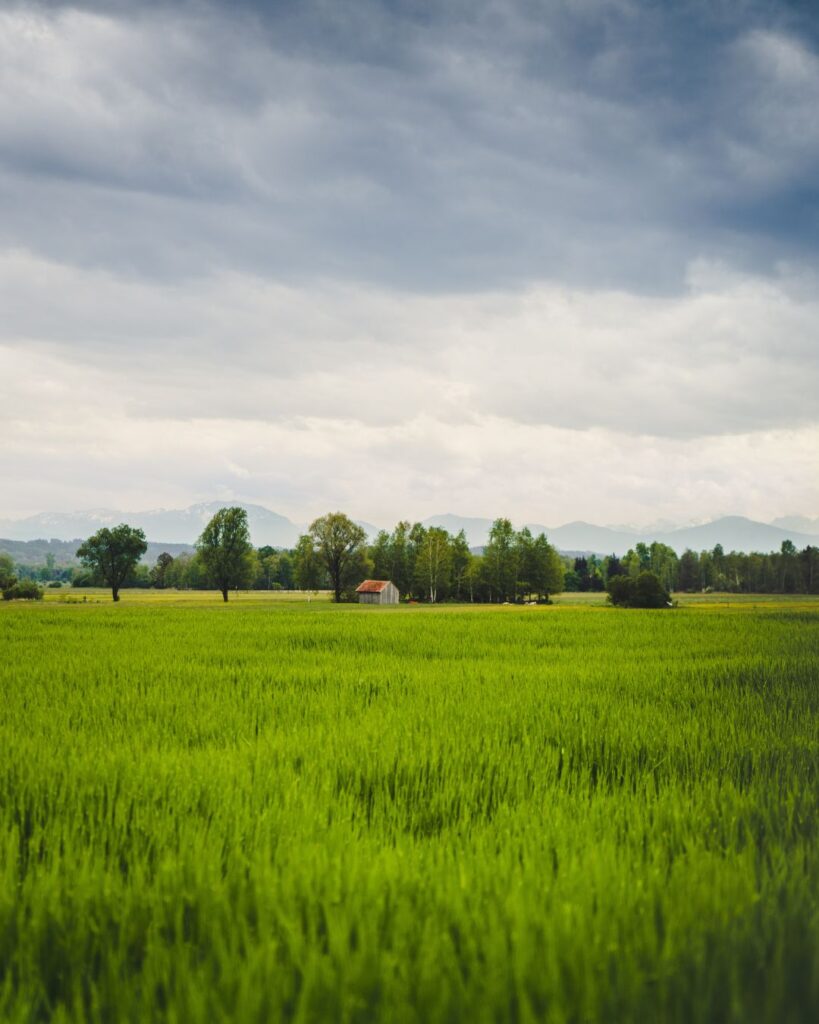Best Cities in Canada for Indians