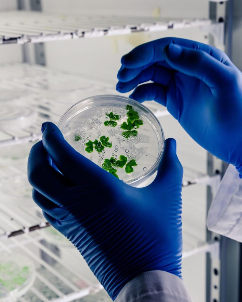 Career opportunities in Europe