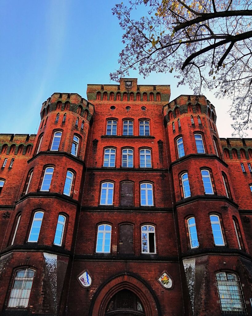 Universities in New Zealand